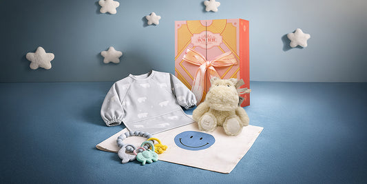 gid://shopify/MediaImage/26504646885463